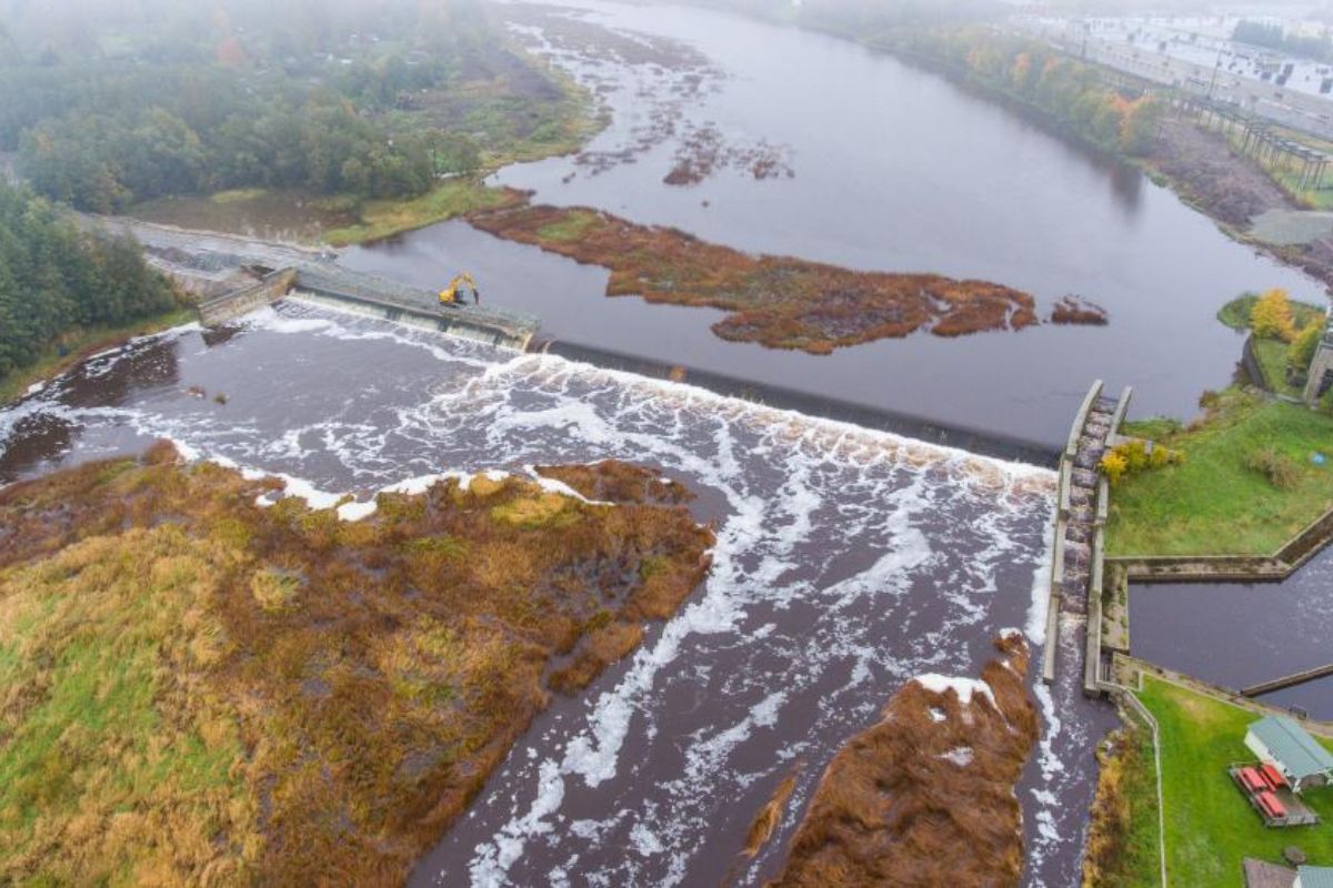 Barragem derrubada na Estônia impulsiona remoção de barragem, reconecta rios europeus, acelera restauração fluvial e devolve o salmão do Atlântico a rotas naturais