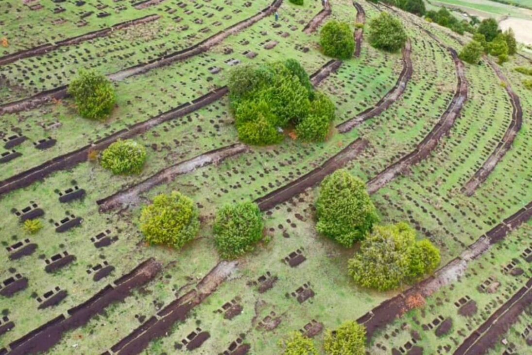 Etiopía Establece Récord Con Green Legacy: Reforestación Contra La Deforestación Y El Calentamiento Global Tras 350 Millones De Árboles En 12 Horas.