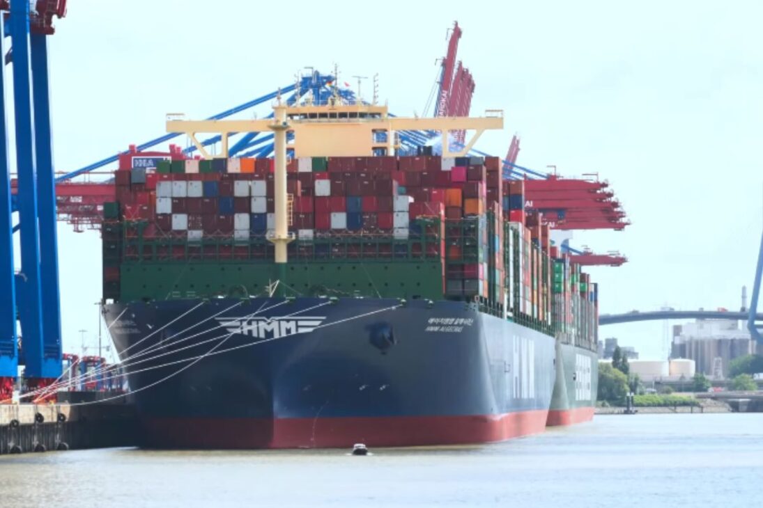 Cuando los escarabajos destruyen monocultivos y monocultivos de abetos colapsan bosques europeos ante el cambio climático, los científicos apuestan por la migración asistida.