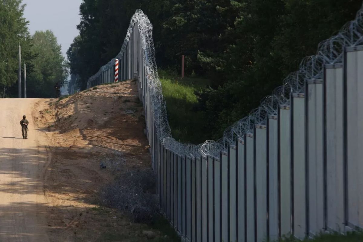 Floresta milenar na Polônia e Belarus é cortada por cerca no Parque Nacional Biarovieja, isolando bisões e colocando em risco um dos ecossistemas mais antigos da Europa
