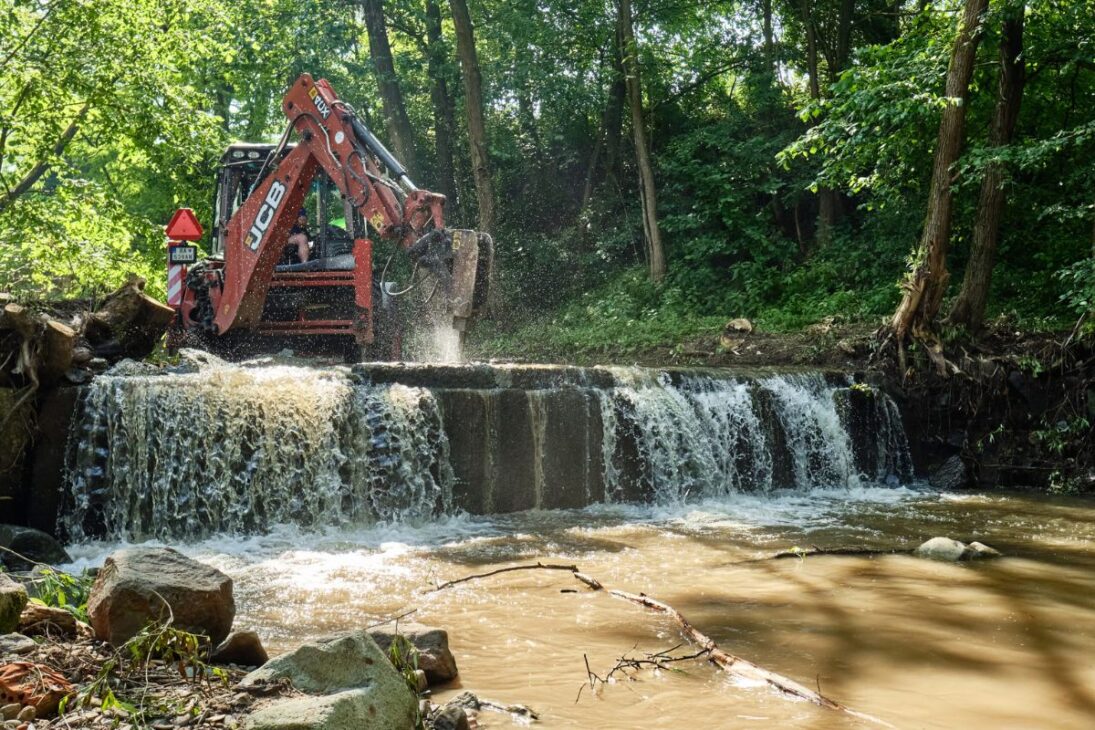 Las Represas Obsoletas en Europa Entran en Fase de Remoción para Reconectar Ríos, Liberar Peces Migratorios, Restaurar Sedimentos y Reducir Inundaciones, con Promesa de Revitalizar Economías Locales y Devolver Vida Fluvial a Escala Continental.