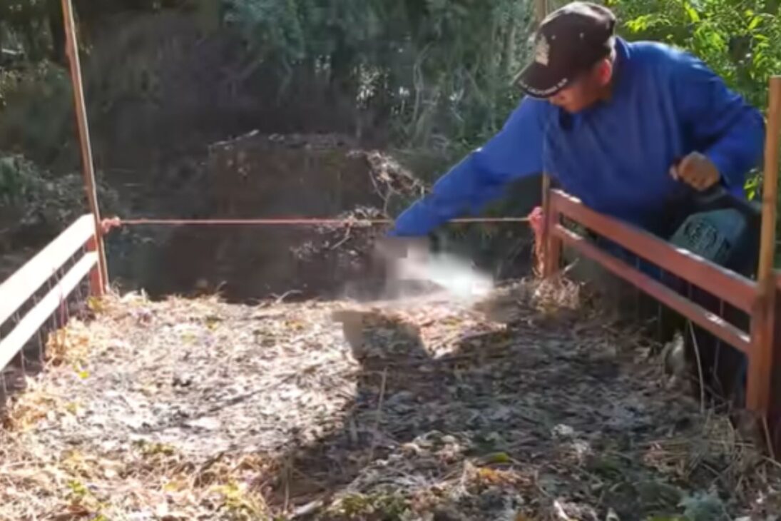 Veja deserto em solo fértil, agricultura no deserto, solo fértil sem químicos, técnicas de agricultura orgânica, transformar areia em terra fértil.