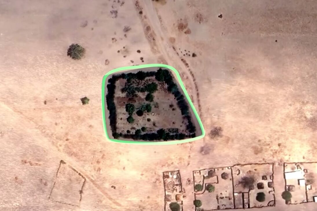 Bosque en Senegal usa jardines forestales y permacultura para producir alimentos, elevar ingresos, capturar carbono y contener el desierto en áreas de sequía extrema.