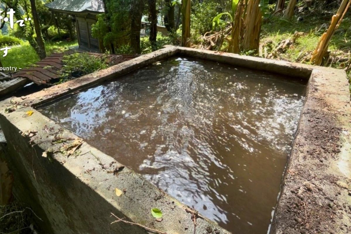 Fonte esquecida nas montanhas volta a servir a casa após limpeza do tanque: pedras lavadas, remoção de lama e renovação da água em 30 minutos restauram a filtragem e o uso diário.