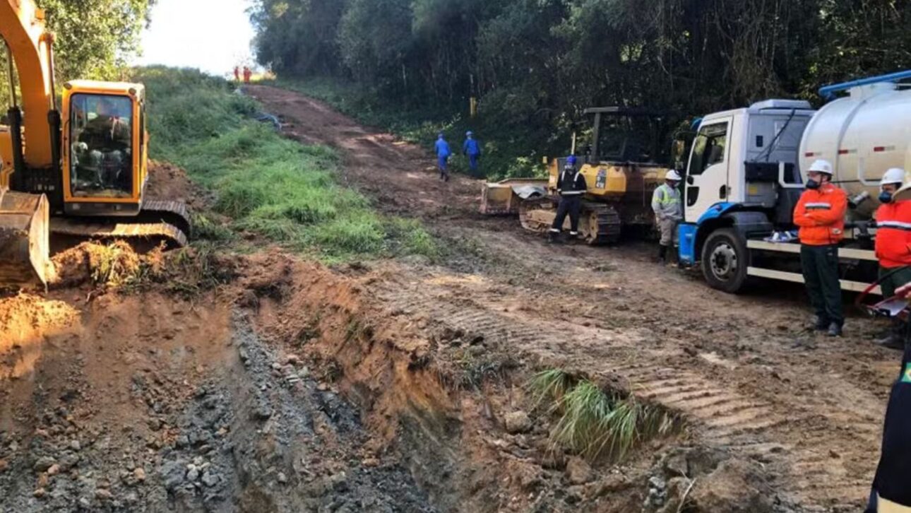 “Equipo de trabajadores con excavadora y camiones realizando excavación en camino de tierra rodeado de vegetación