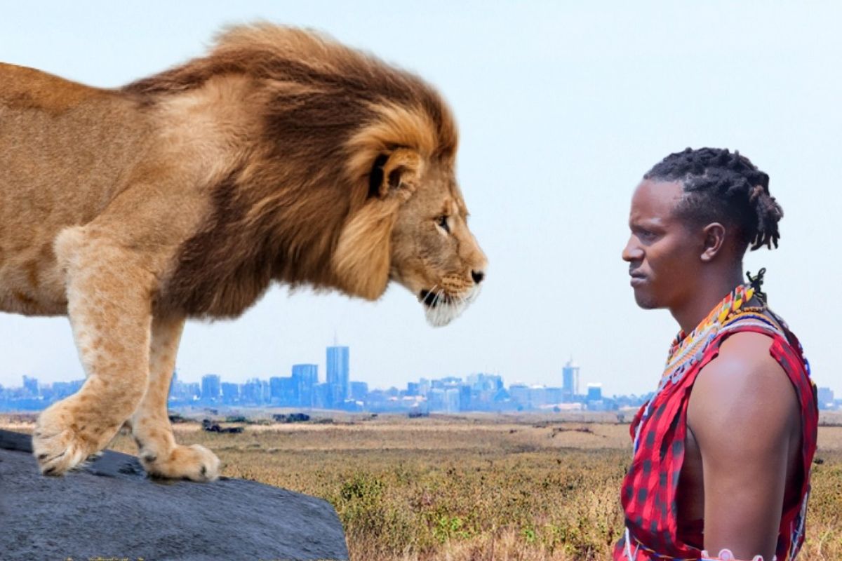 Leões no Quênia: em Kitengela, Maasai protegem gado com Luzes de Leão; solução reduz ataques e chega a 14 mil propriedades.