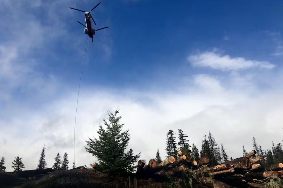 Rios recebem troncos em megaprojeto de restauração que resfria a água, recria habitat, protege salmões e testa novos limites da recuperação ambiental