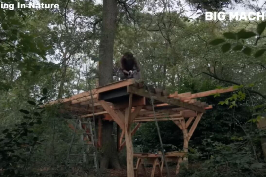 Hombre construye solo casa en el árbol en el bosque; casa en el árbol de madera se convierte en cabana de lujo y muestra cómo casa en el árbol puede ir más allá.