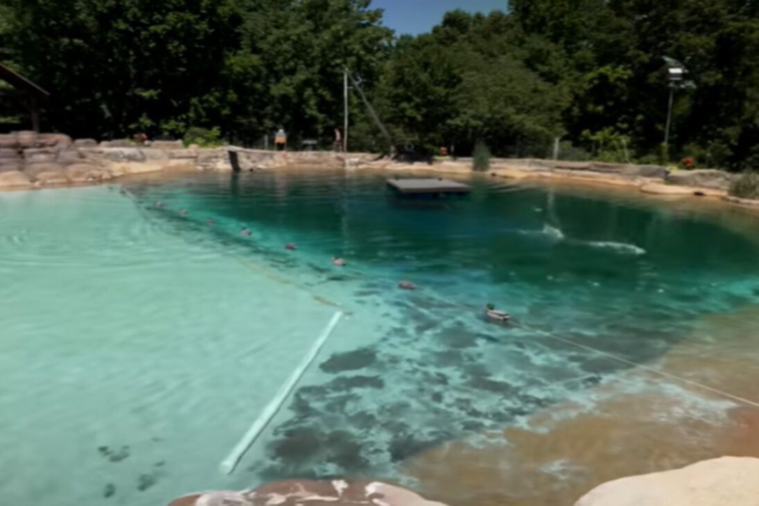 Conoce La Piscina Gigante De 500 Mil Galones, La Piscina De Patio Con Sistema De Filtración Y Cascada Artificial Que Se Convirtió En Obsesión.