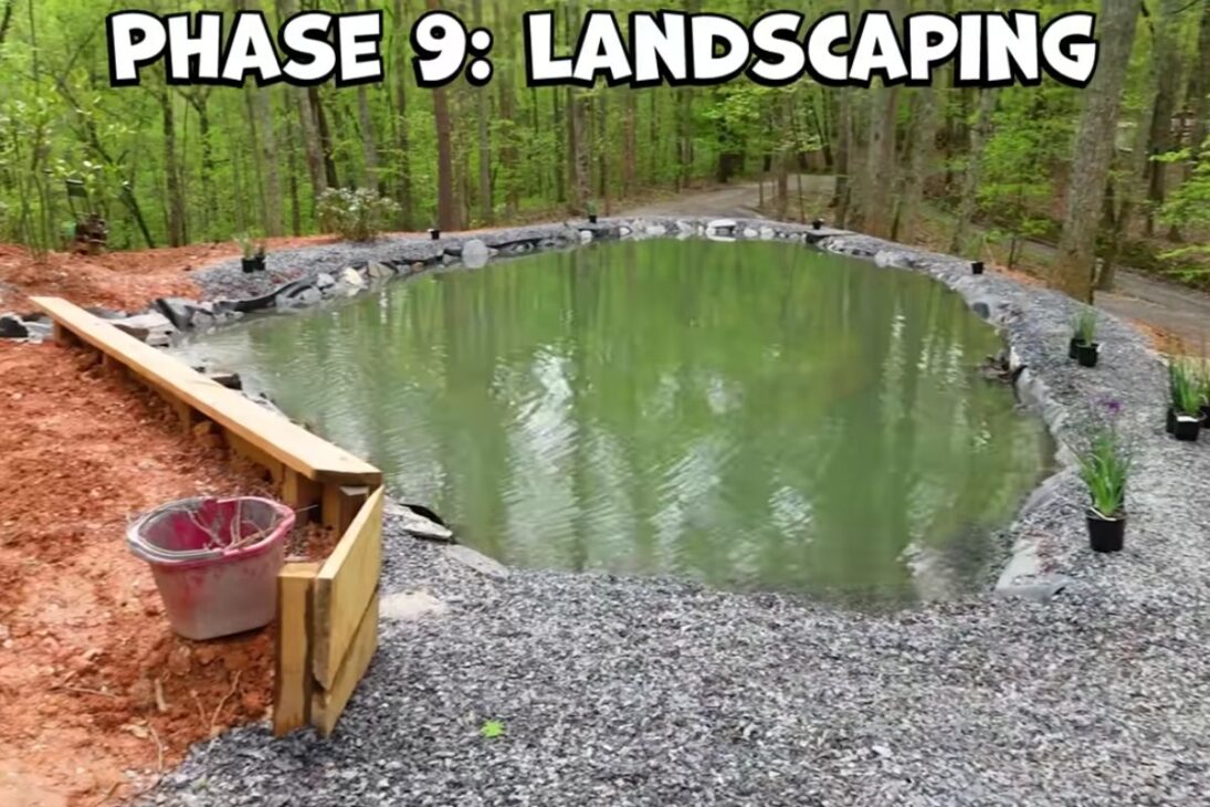 piscina natural detallada con excavación, revestimiento, bomba y biofiltro, del corte de árboles al llenado, con tubos, cascada y skimmer, mostrando el proceso completo hasta el agua cristalina