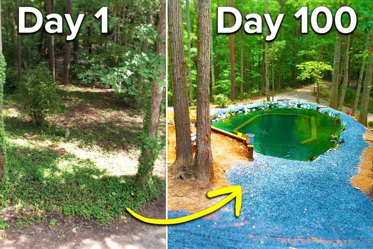 piscina natural detalhada com escavação, revestimento, bomba e biofiltro, do corte de árvores ao enchimento, com canos, cachoeira e skimmer, mostrando o processo completo até a água cristalina