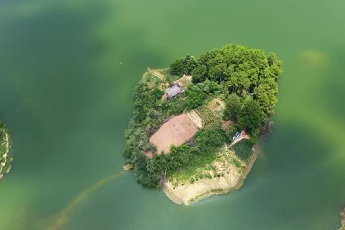Ilhas esquecidas no meio de um lago escondem uma vida impossível homem de 60 anos abandona a cidade, constrói um mundo autossuficiente, cria animais, planta alimentos