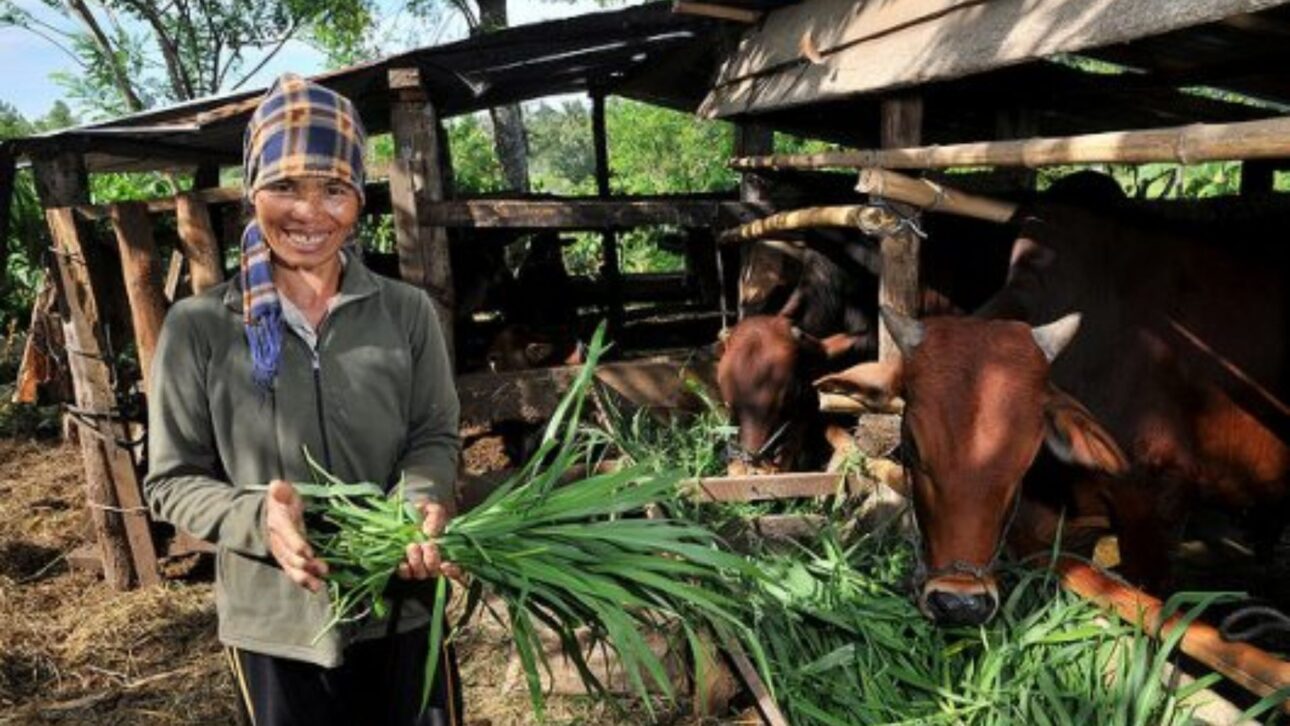 Vietnam Redujo la Pobreza de Casi el 60% a 5% en Tres Décadas con Reformas Agrarias, Industria Exportadora y Expansión de Servicios Básicos, Según Datos del Banco Mundial.