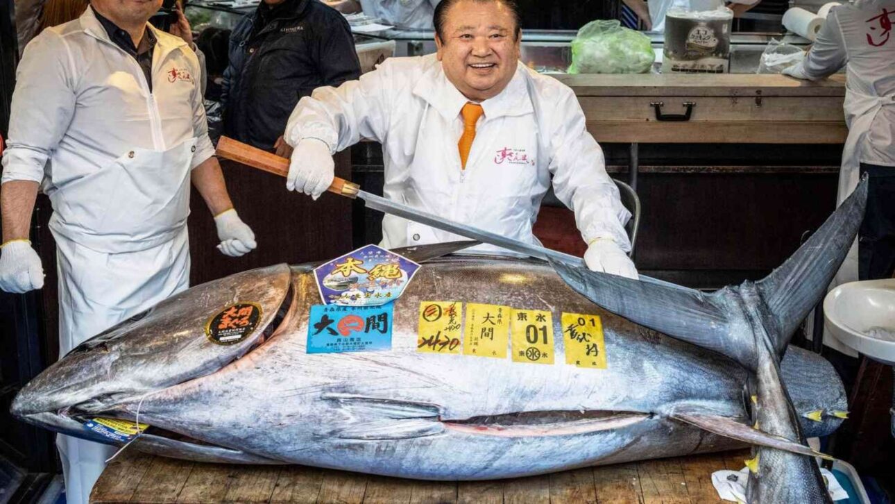 Empresário japonês paga US$ 3,2 milhões por atum-rabilho de 243 kg em leilão de Ano Novo em Tóquio e estabelece novo recorde histórico no mercado de Toyosu.