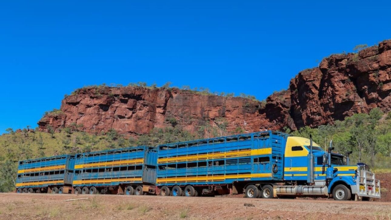 Entienda Por Qué Australia Adoptó Camiones De Hasta 53,5 Metros Y Cómo Los Road Trains Sostienen La Logística En El Interior Del País.