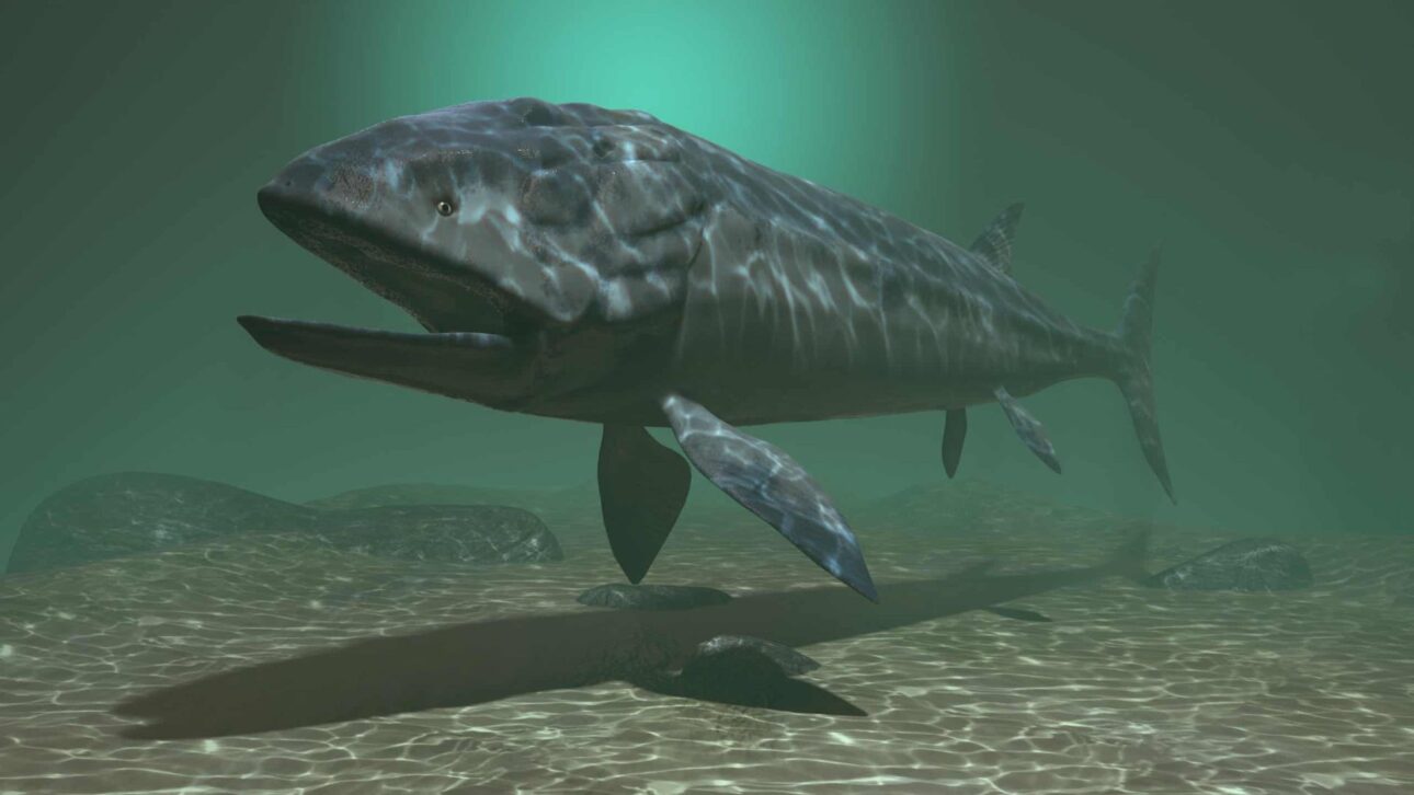 Leedsichthys problematicus vivió en el Jurásico y alcanzó hasta 16,5 metros, siendo considerado el mayor pez óseo de la historia según estudios científicos.