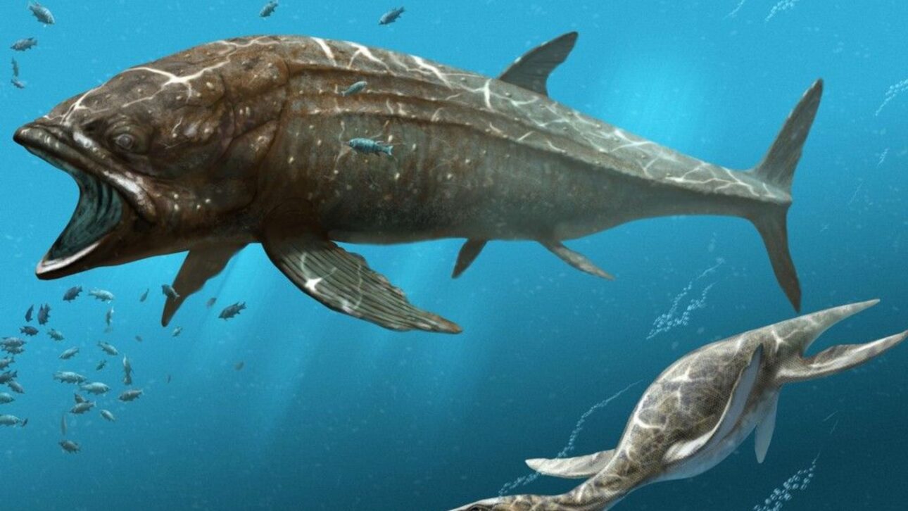 Leedsichthys problematicus vivió en el Jurásico y alcanzó hasta 16,5 metros, siendo considerado el mayor pez óseo de la historia según estudios científicos.
