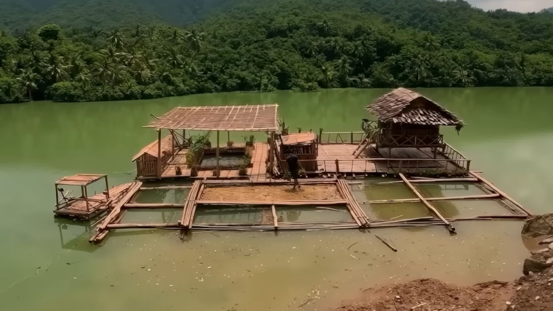 Homem abandona a civilização e constrói vila flutuante autossuficiente com bambu, arrozal, galinhas e peixes em lago isolado da selva.