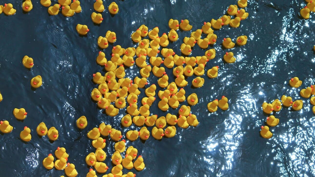 Casi 30 mil patos de goma cayeron en el Pacífico en 1992 y cruzaron océanos durante décadas, ayudando a revelar corrientes marítimas, el deshielo en el Ártico y la persistencia del plástico en el mar.