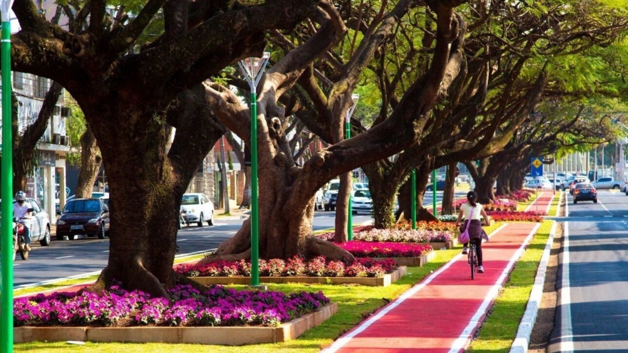 El Municipio de Paraná se Destaca en Limpieza Urbana, Urbanismo Planificado y Arborización, con Recolección Selectiva Eficiente y Gestión Ambiental Continua.