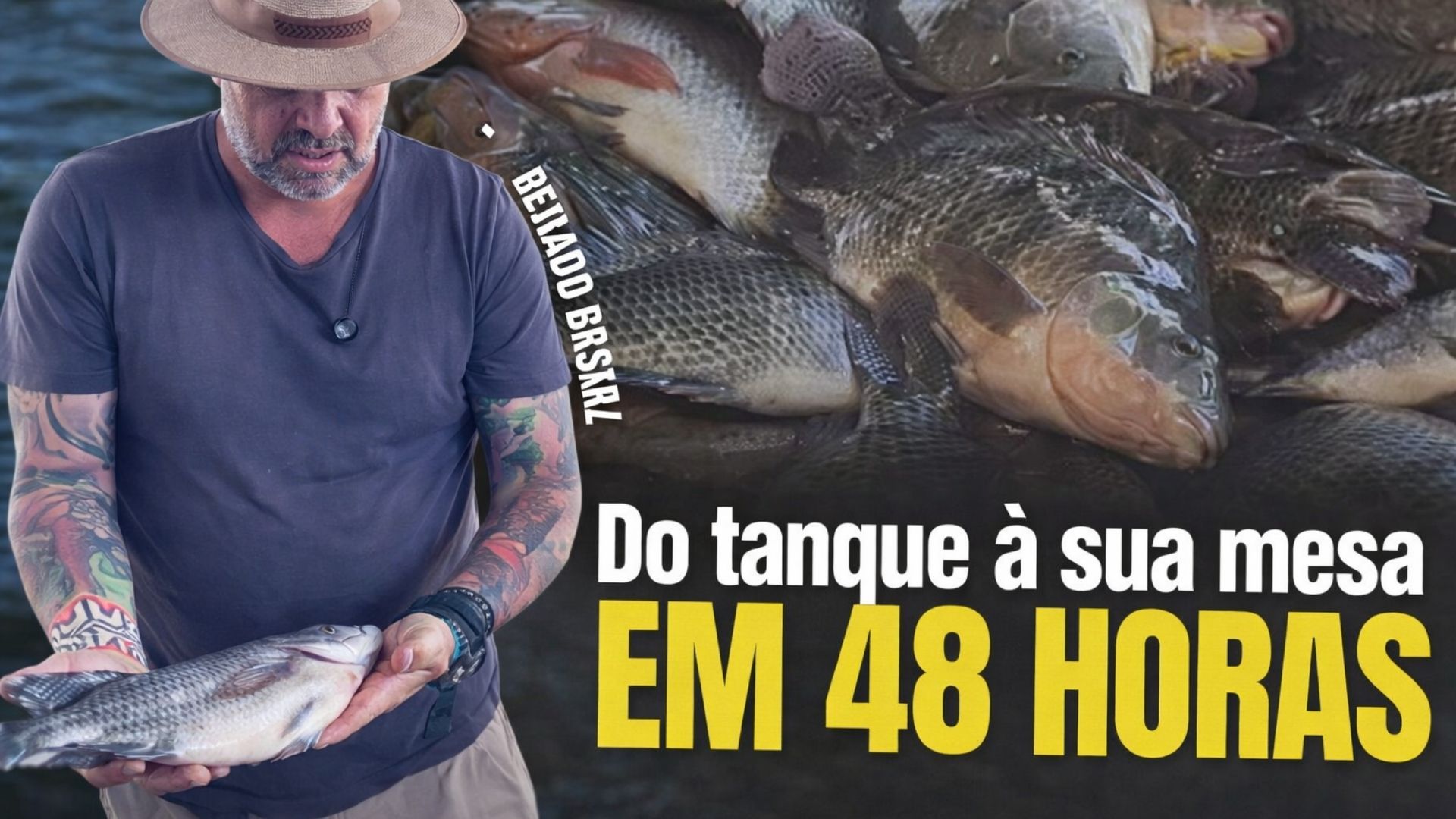 Megaoperação de tilápia no Paraná processa 14,5 toneladas por dia, usa 20 mil kg de ração e exporta filé fresco aos EUA em 48 horas.