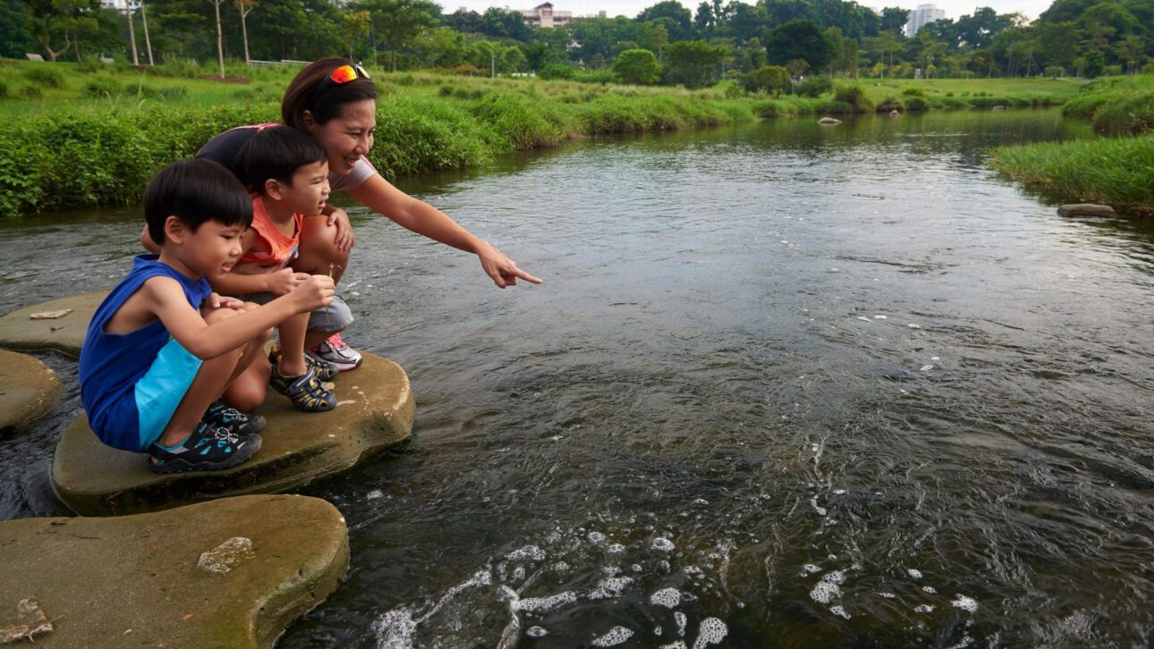 Canal de concreto fue transformado en río naturalizado en Singapur, mejoró la drenaje urbana, atrajo vida salvaje y cambió el uso del parque.