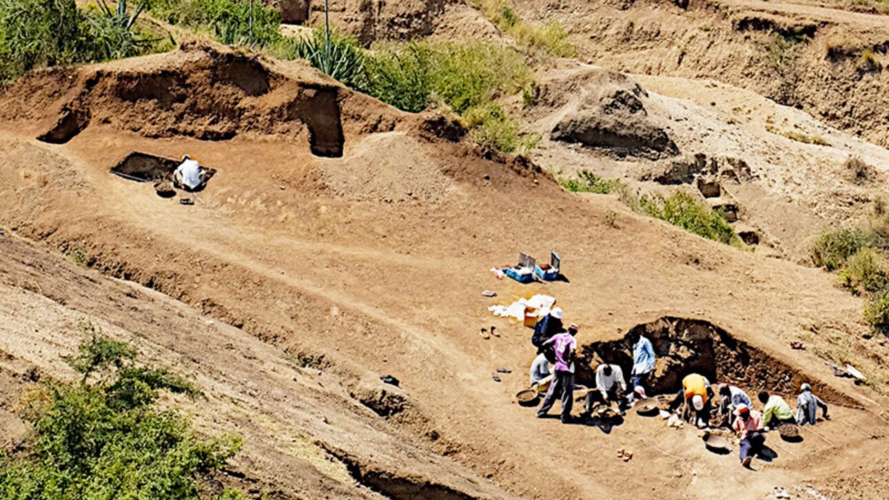 Herramientas de 2,9 millones de años en Kenia desafían el origen de la tecnología humana al surgir con huesos cortados y Paranthropus antiguos.