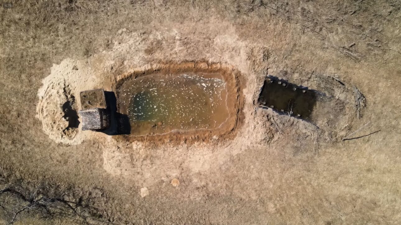 Lagos de patio sustituyen gramados, atraen biodiversidad y controlan mosquitos con profundidad planificada, lona técnica y plantas nativas.