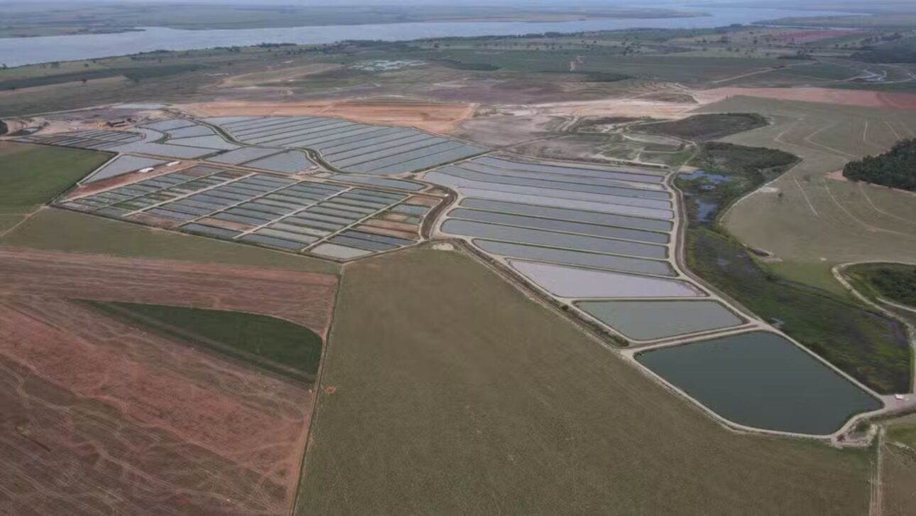 Productor de Paraná invierte R$ 7 millones en estanques con geomembrana, triplica densidad de tilapias y proyecta más de 2 millones por ciclo.