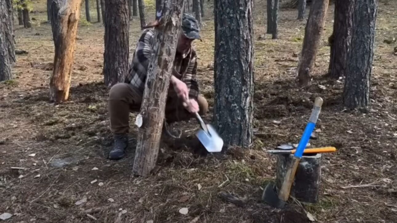 Refugio elevado a 2 metros del suelo usa troncos y madera ligera, sin tornillos, fijado en árboles, con confort térmico y bajo impacto ambiental.