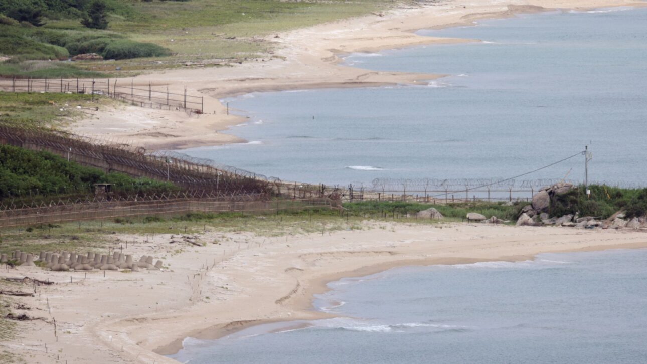 Corea del Sur instala 10,7 km de cercas de bambú para retener arena, recuperar dunas costeras y reducir la erosión en la costa.