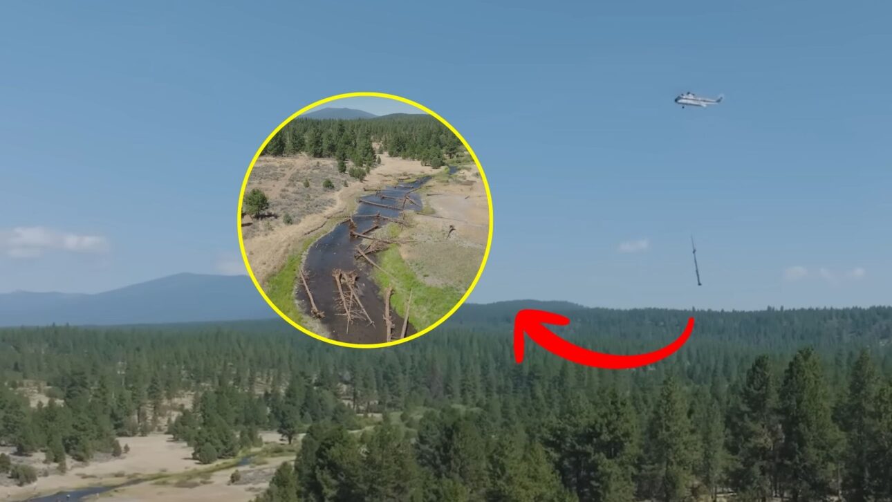 Helicóptero de grande porte despeja quase 400 troncos em riacho do Oregon para restaurar habitat de peixes e reativar a dinâmica natural do rio.