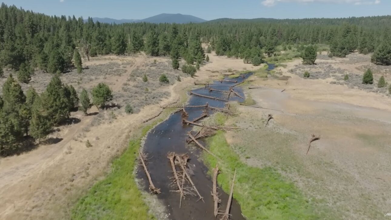 Helicóptero de grande porte despeja quase 400 troncos em riacho do Oregon para restaurar habitat de peixes e reativar a dinâmica natural do rio.