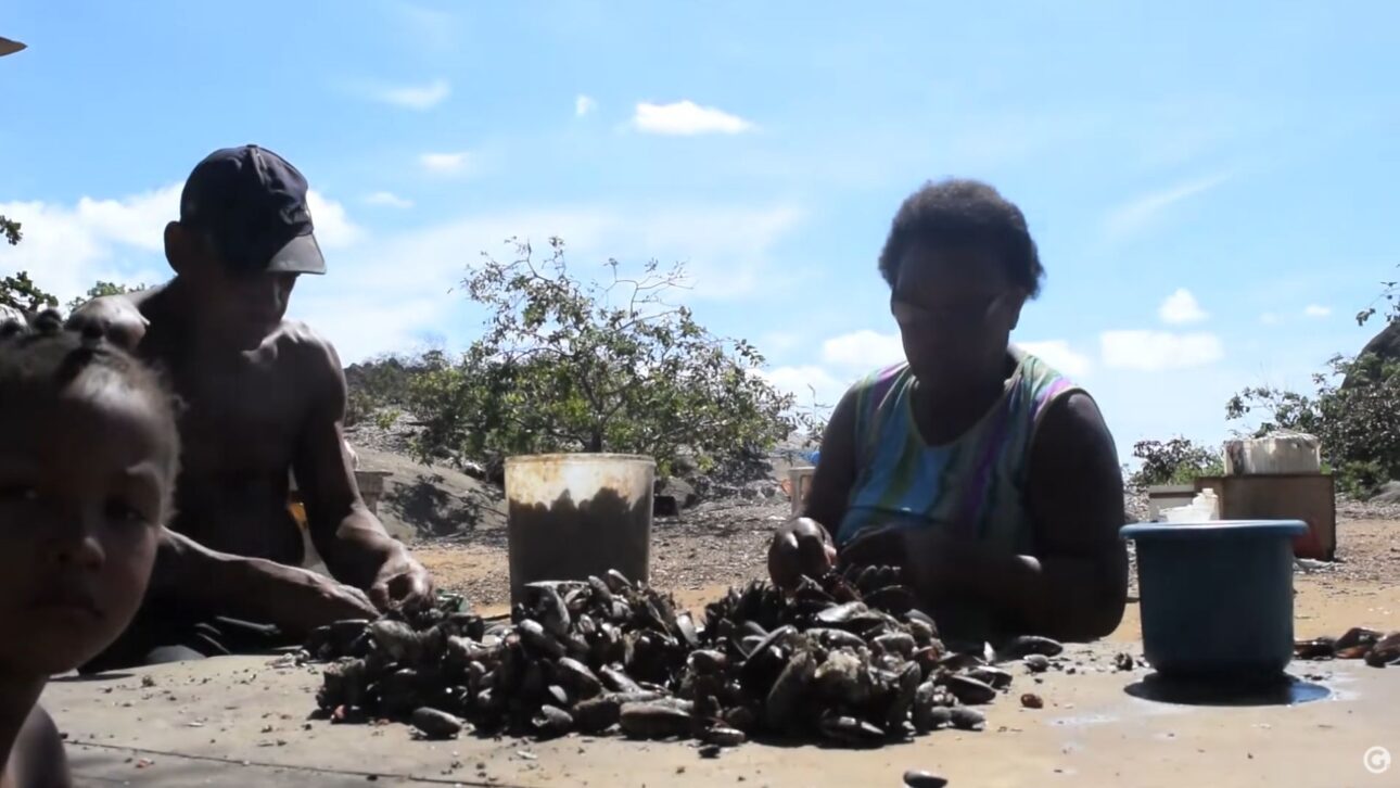 Familia vive há 47 anos isolada em ilha urbana de Vitória sem água e energia, a poucos metros da cidade, revelando contraste raro urbano.