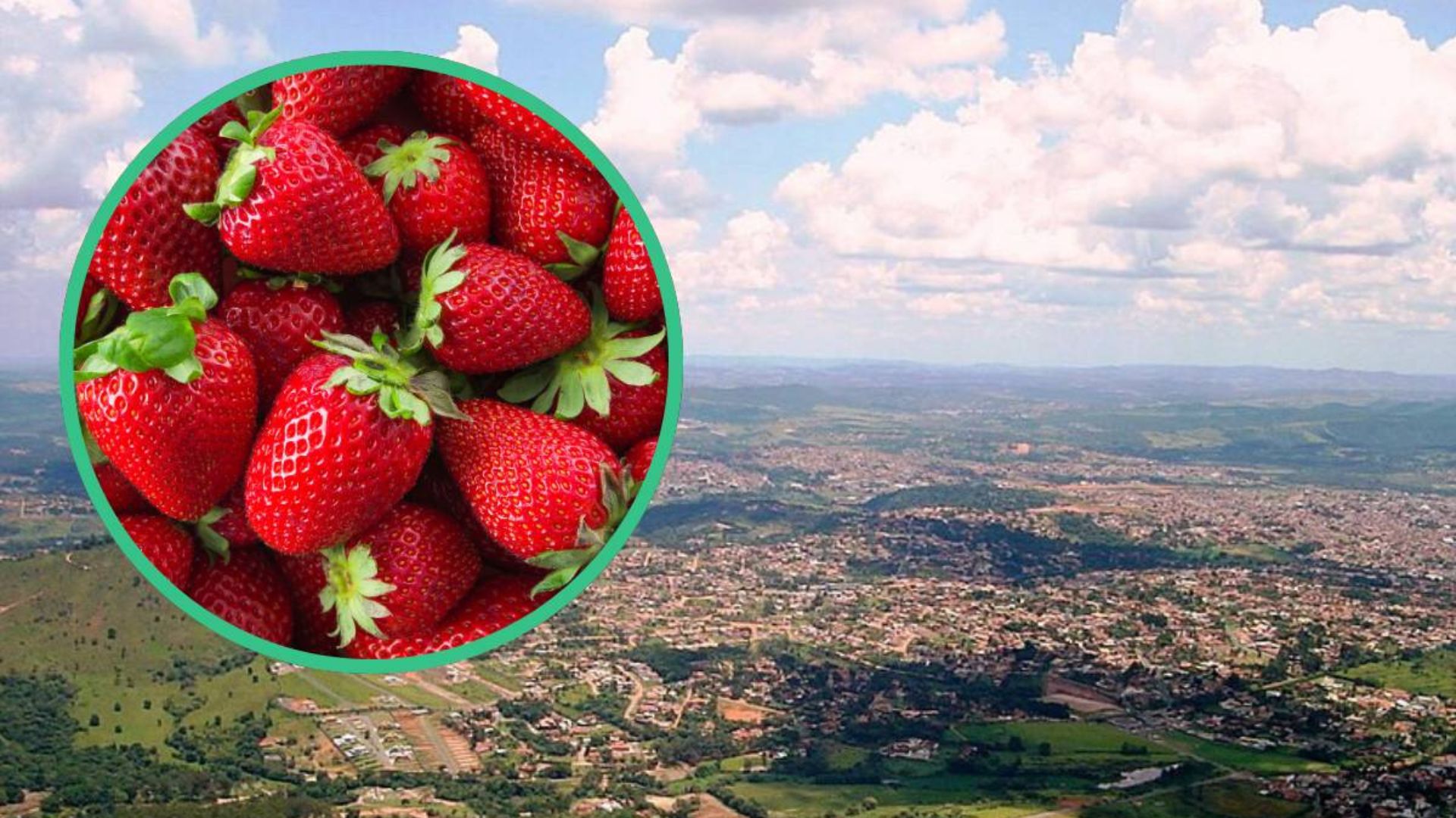 Atibaia é a Capital Nacional do Morango, produz 3 mil toneladas por ano e atrai turistas com festa tradicional, clima ameno e turismo rural.