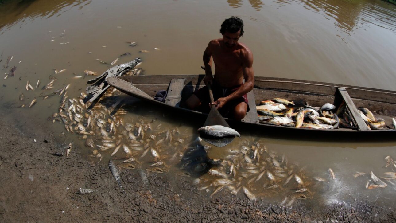 Familias ribereñas viven aisladas en palafitos en el Río Madeira, enfrentando crecidas, sequía y largos viajes en barco para acceder a servicios básicos en Porto Velho.