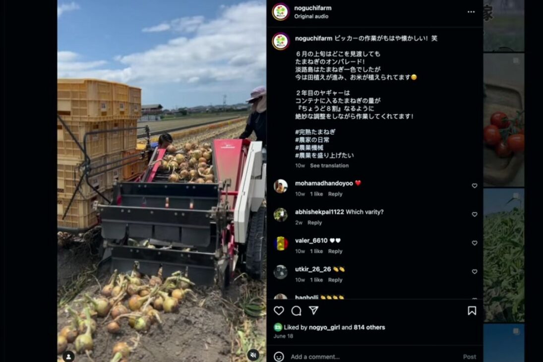 Cebolla en alta productividad en Japón: granja usa agua y arroz con manejo por máquinas, muestra rutina intensa y venta directa al cliente, destacando eficiencia agrícola y sistema local.