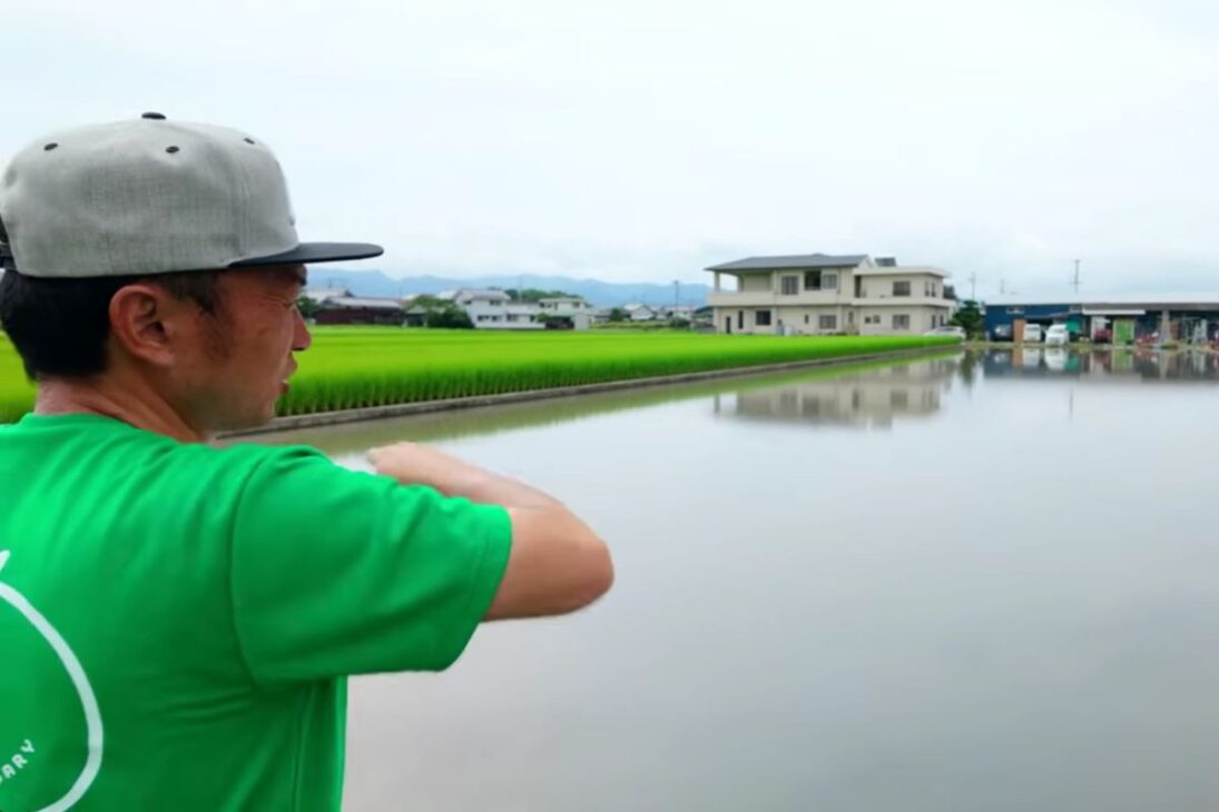 Cebolla en alta productividad en Japón: granja usa agua y arroz con manejo por máquinas, muestra rutina intensa y venta directa al cliente, destacando eficiencia agrícola y sistema local.