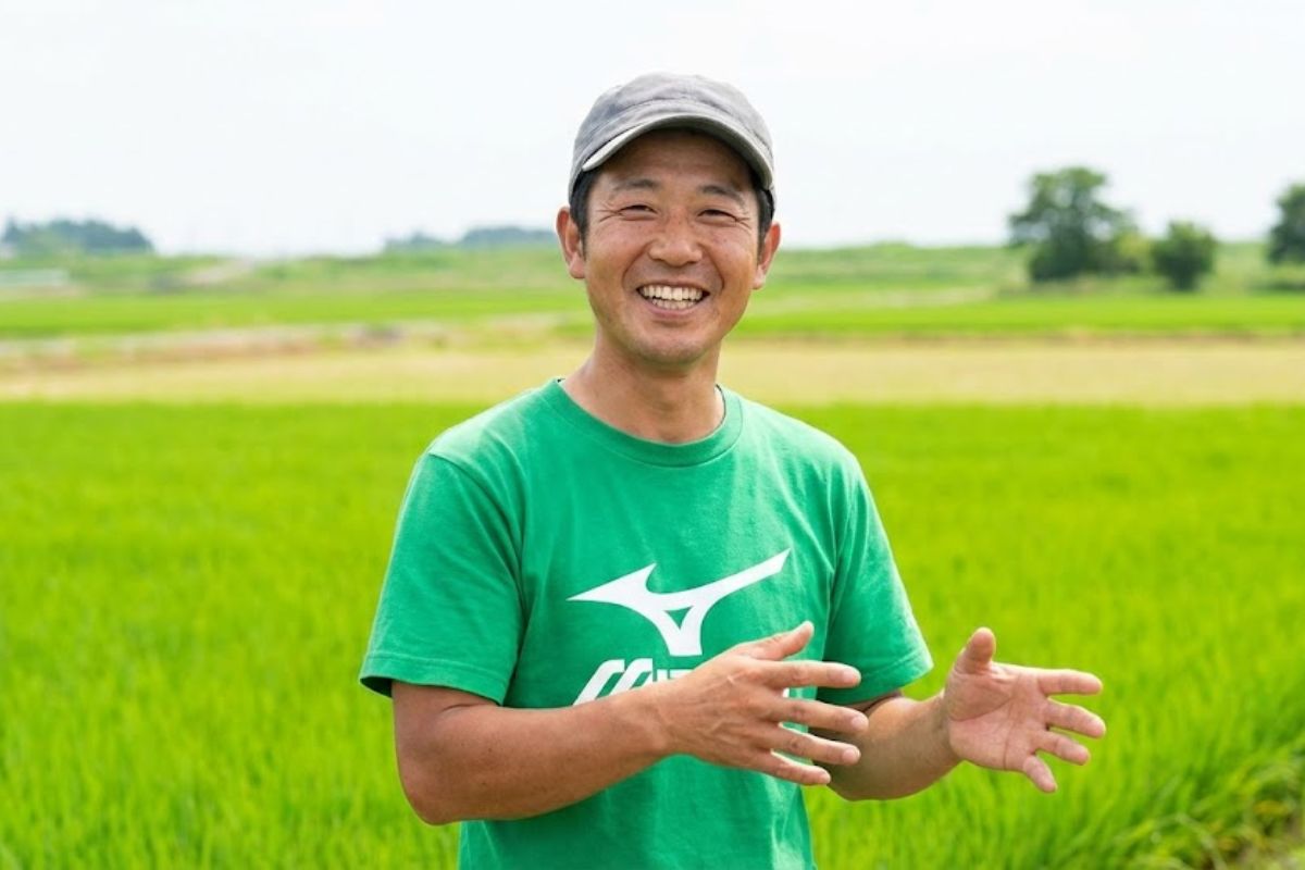 Cebola em alta produtividade no Japão: fazenda usa água e arroz com manejo por máquinas, mostra rotina intensa e venda direta ao cliente, destacando eficiência agrícola e sistema local.