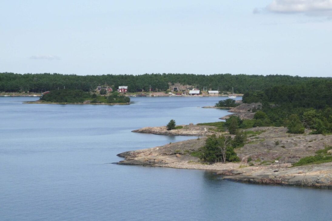 Larvas solitarias en Finlandia en Sottunga expusieron parásitos y hiperparasitas y se convirtieron en una alerta científica sobre conservación.