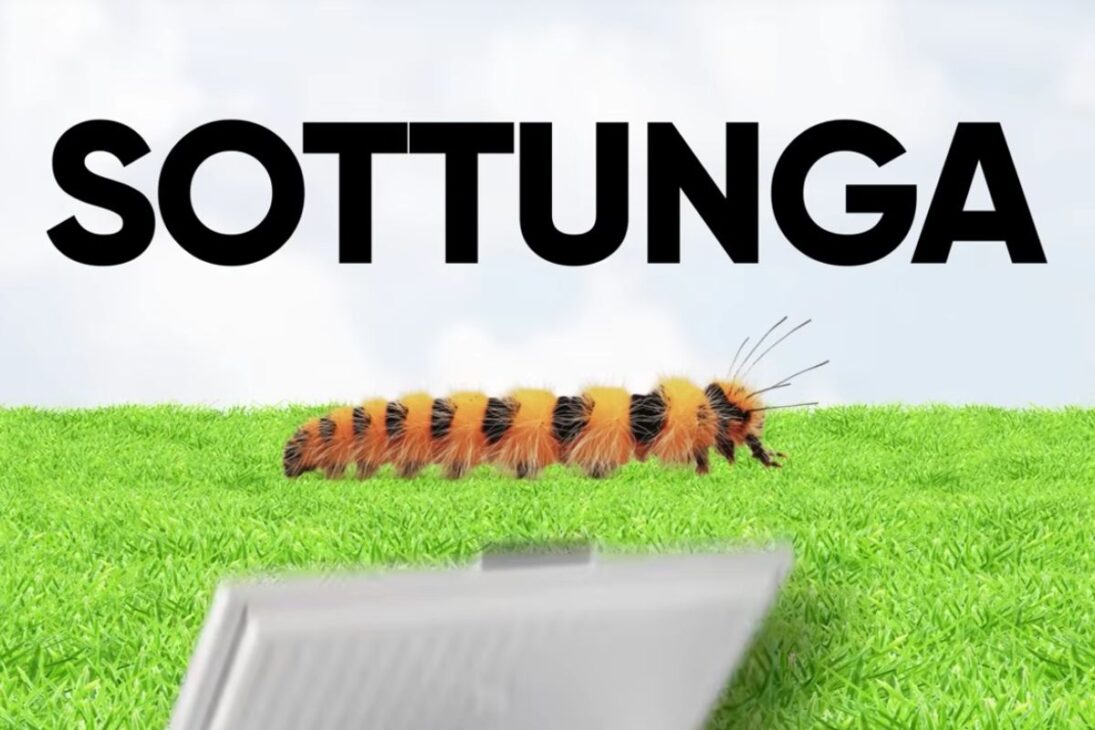 Larvas solitarias en Finlandia en Sottunga expusieron parásitos y hiperparasitas y se convirtieron en una alerta científica sobre conservación.