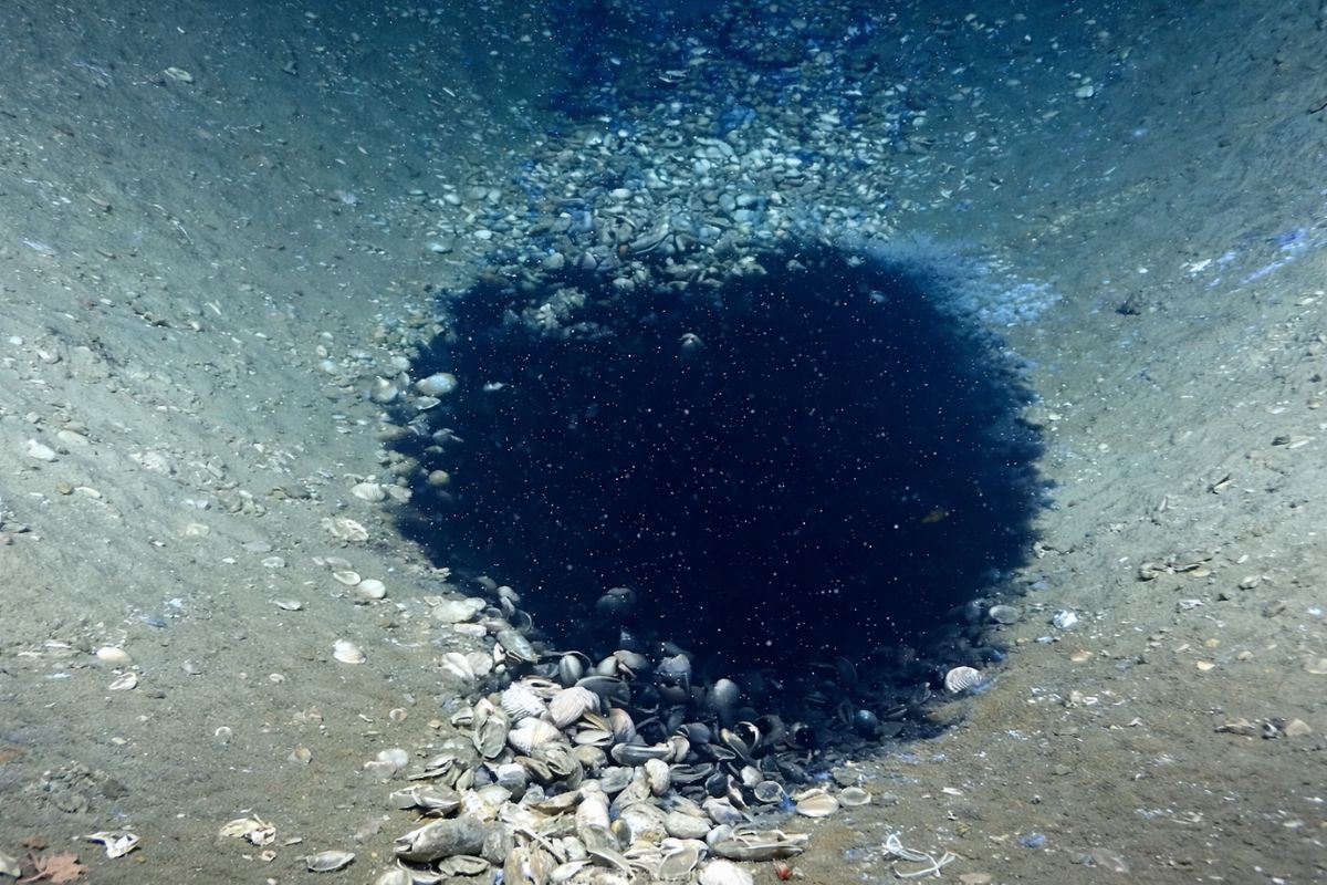 Lagos dentro do mar 10 poças de salmoura que não se misturam com o oceano, preservam corpos por anos e alimentam vida sem luz