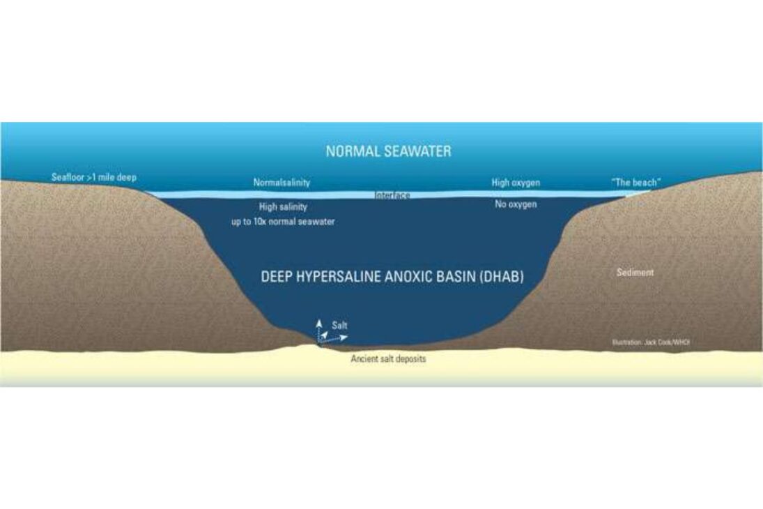 Descubre charcas de salmuera y lagos dentro del mar, lagos submarinos del Golfo de México que guardan vida sin luz y cuerpos preservados en las profundidades.