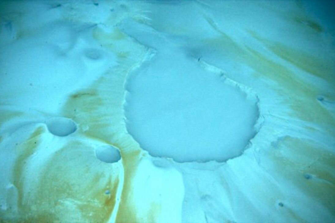 Descubre charcas de salmuera y lagos dentro del mar, lagos submarinos del Golfo de México que guardan vida sin luz y cuerpos preservados en las profundidades.