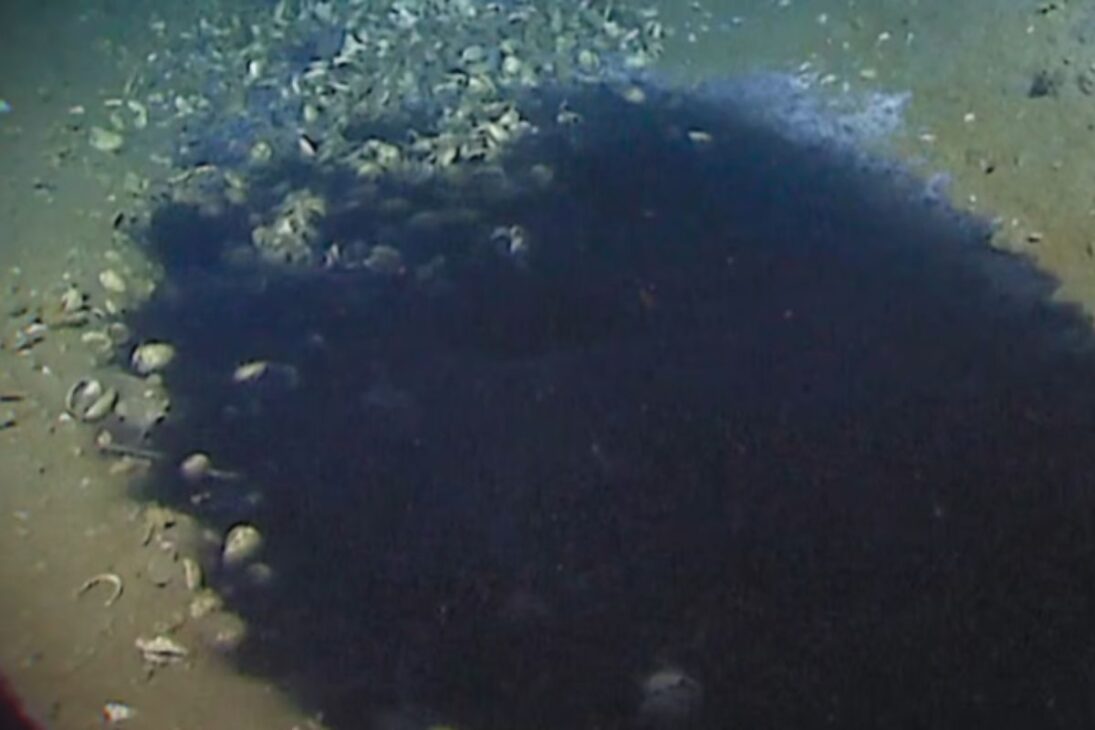 Descubre charcas de salmuera y lagos dentro del mar, lagos submarinos del Golfo de México que guardan vida sin luz y cuerpos preservados en las profundidades.