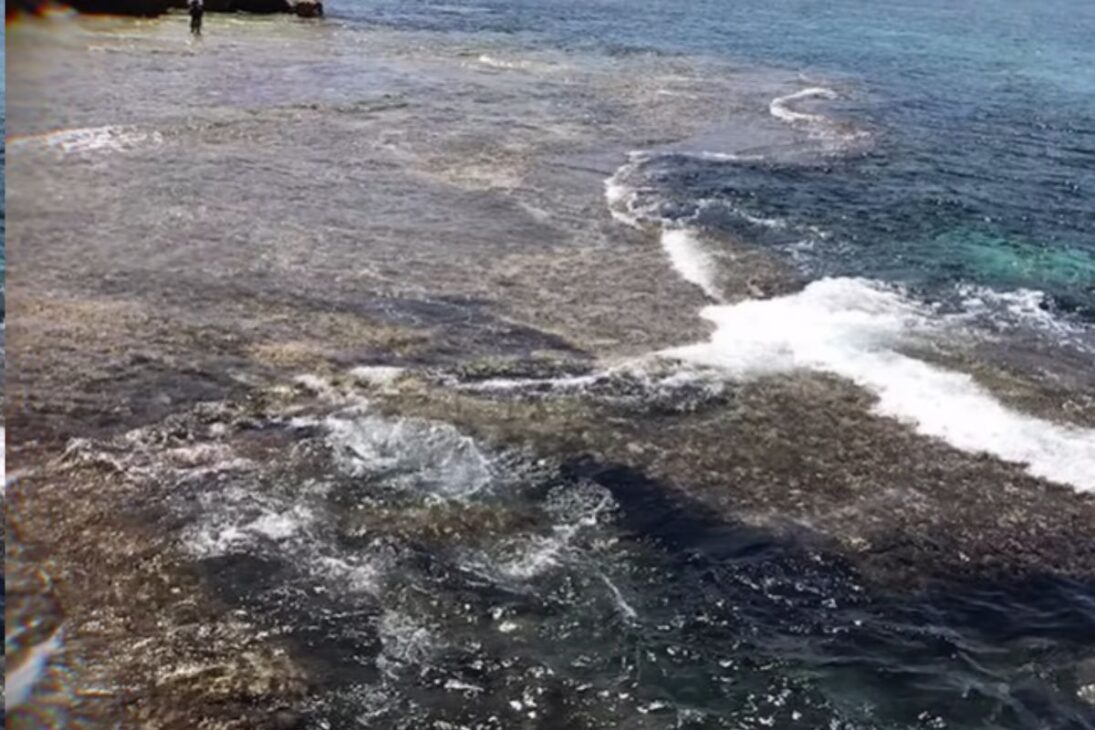 Descubre charcas de salmuera y lagos dentro del mar, lagos submarinos del Golfo de México que guardan vida sin luz y cuerpos preservados en las profundidades.