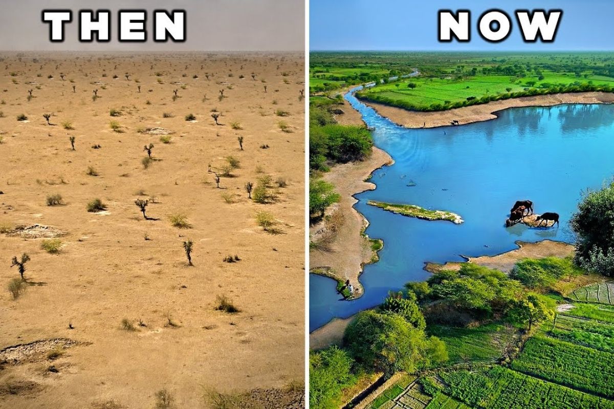 Laporiya transforma terra árida de um estado na Índia em paisagem fértil após 45 anos de trabalho comunitário, recarrega aquíferos capazes de sustentar três anos (2)