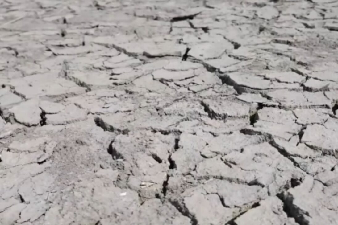 Conoce cómo el canal de concreto en río vivo en el río Los Ángeles usa soluciones basadas en la naturaleza para garantizar seguridad hídrica e inspirar ríos urbanos.