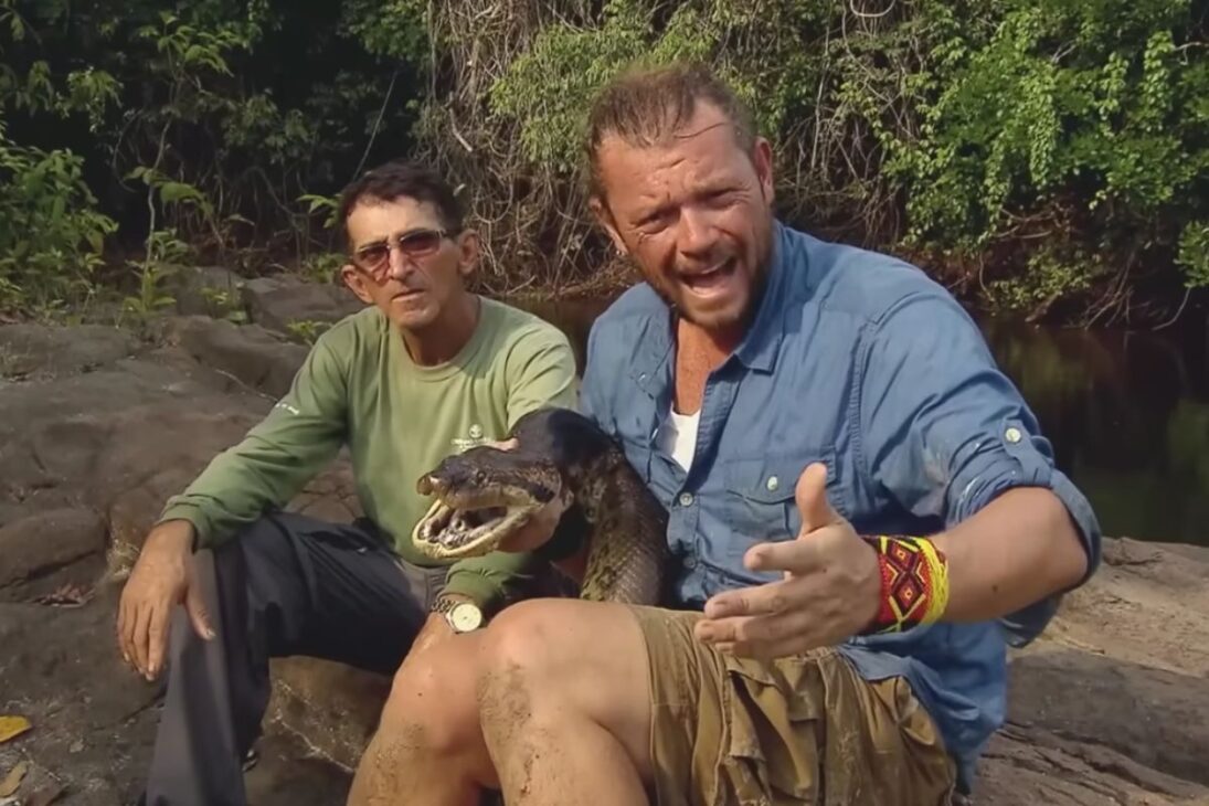 La sucuri negra en agua dulce llama la atención por la constricción y por su potencial sobre grandes presas; relatos en el río cristalino muestran por qué observar desde lejos es la regla en encuentros.