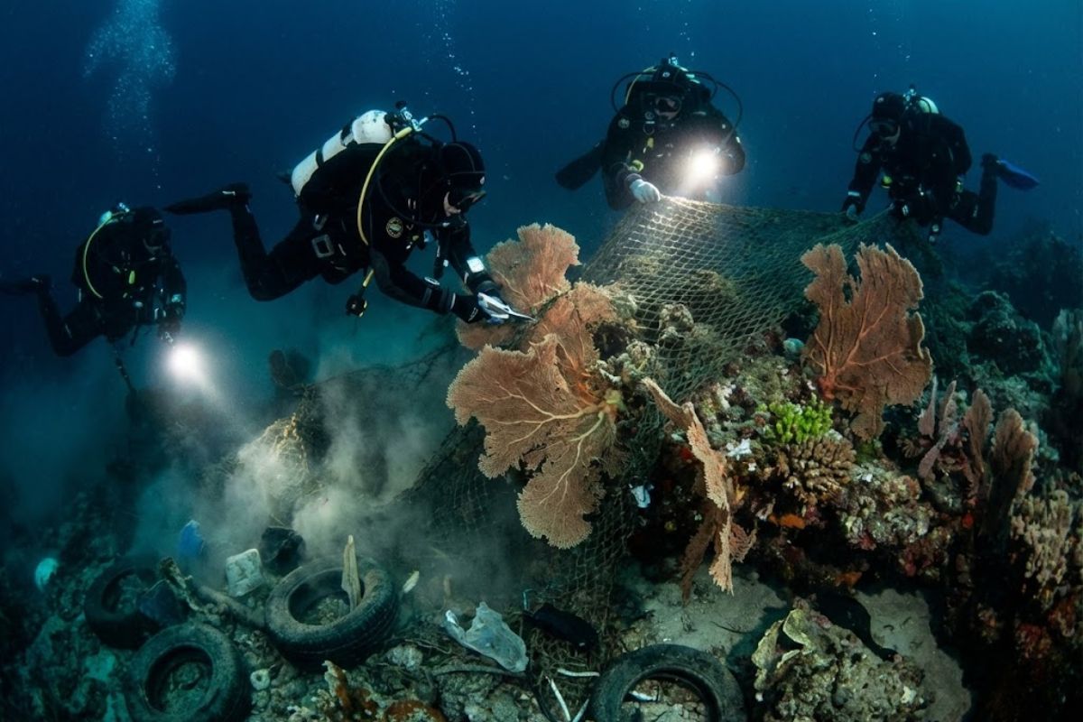 Mergulhadores removem rede fantasma do fundo do oceano para salvar coral e recuperar recife ameaçado no Mediterrâneo após décadas de abandono ambiental